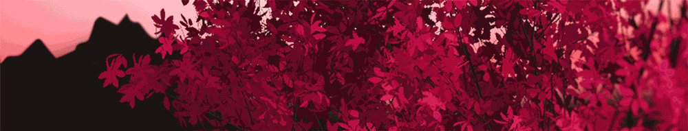 Illustration samples