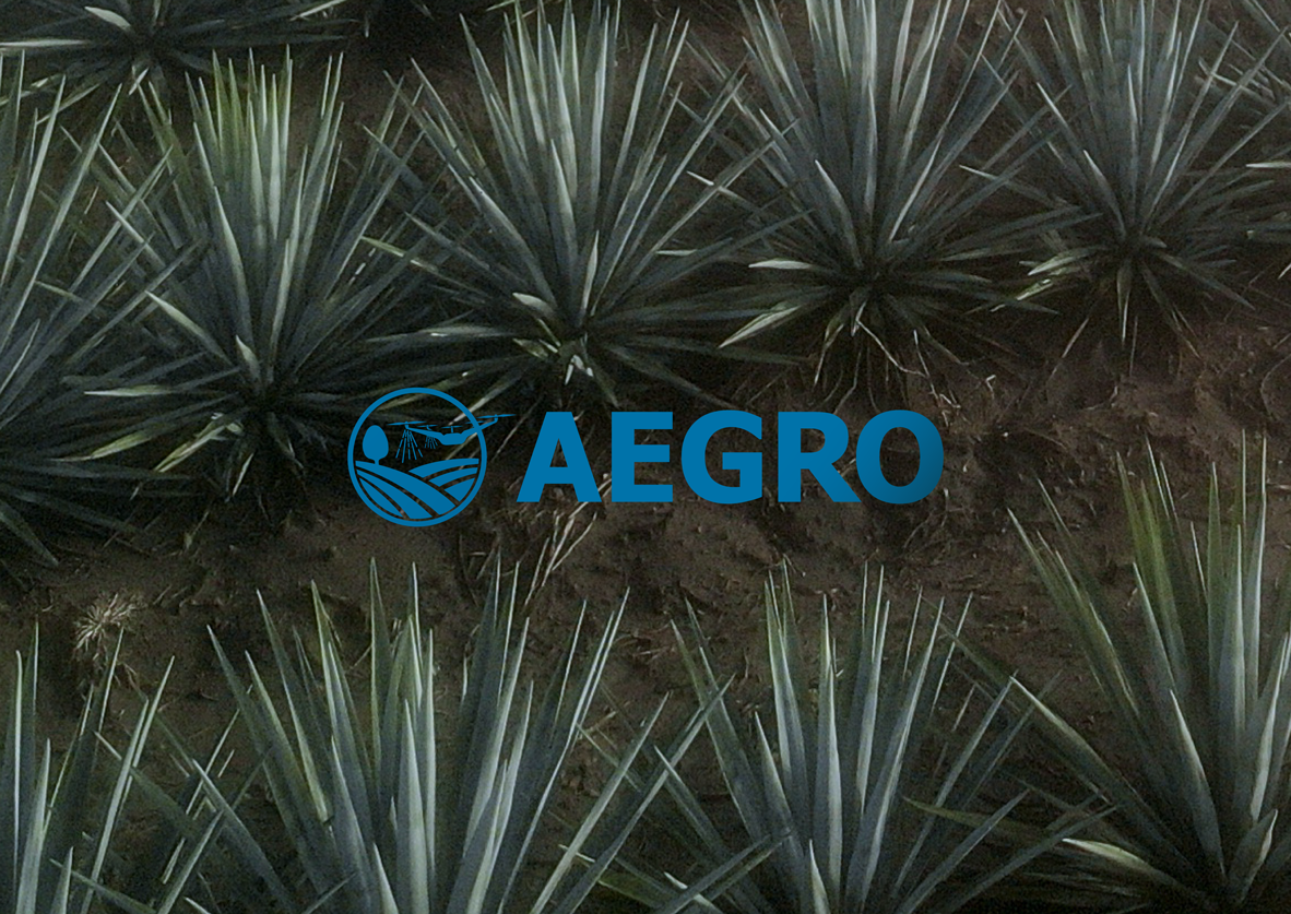 Aegro by JAVI AGENCY