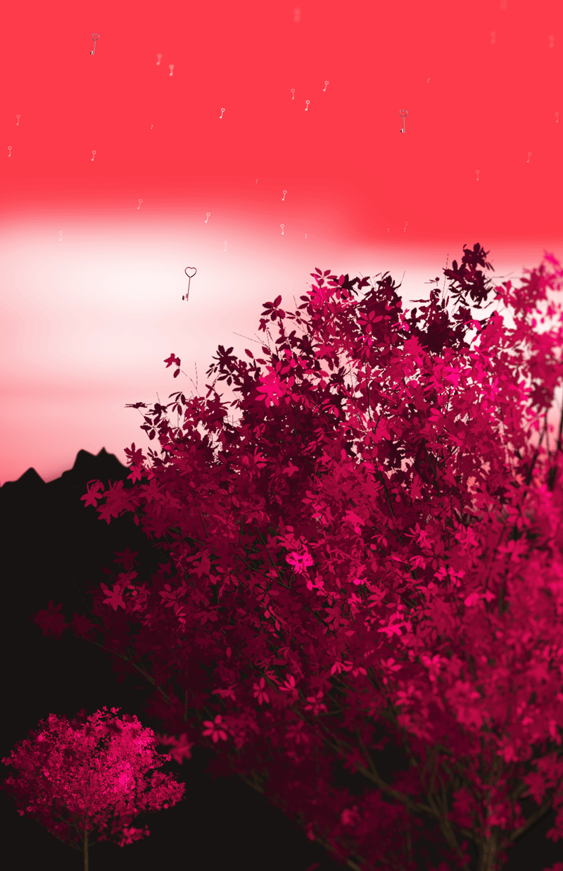 Solitude — Solitude05